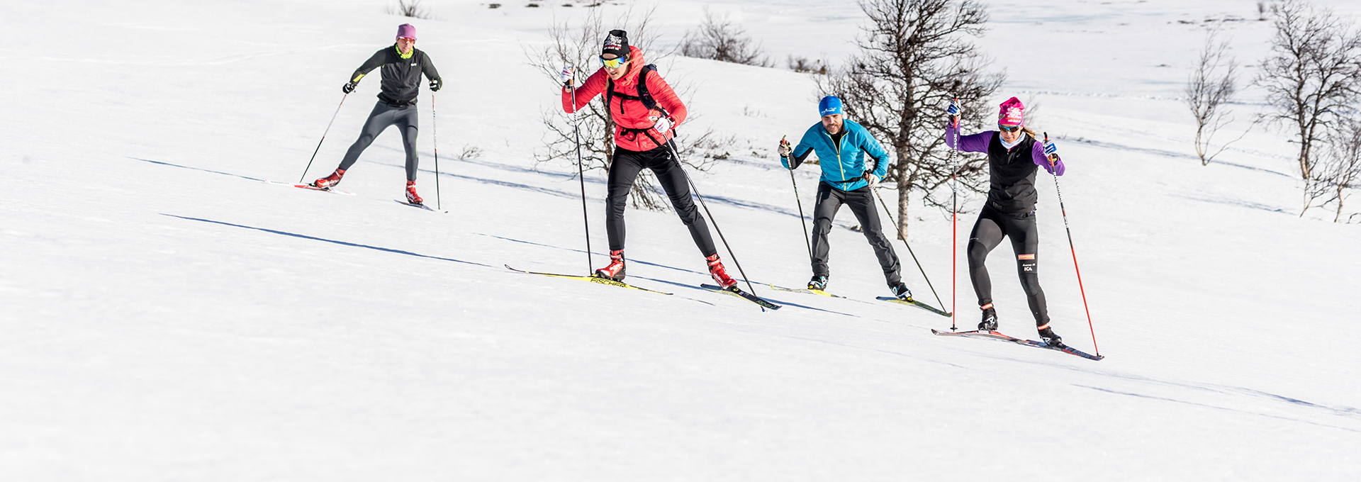 two cross-country skiers in the tracks